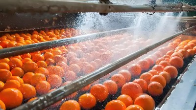 水果罐頭廠(chǎng)廢水高效處理方案