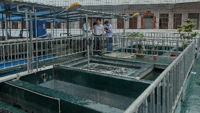 防染鹽廢水如何處理？